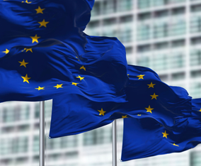 RETRATO DE PORTUGAL NA UNIÃO EUROPEIA