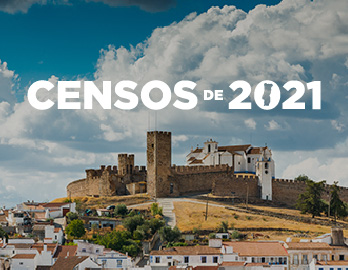 CENSOS 2021 - DADOS MUNICIPAIS