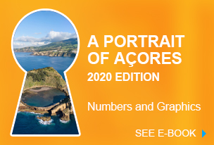 Portrait of Azores 2020