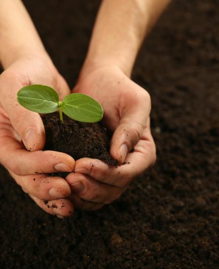 ambiente producao consumo sustentaveis estatisticas pordata