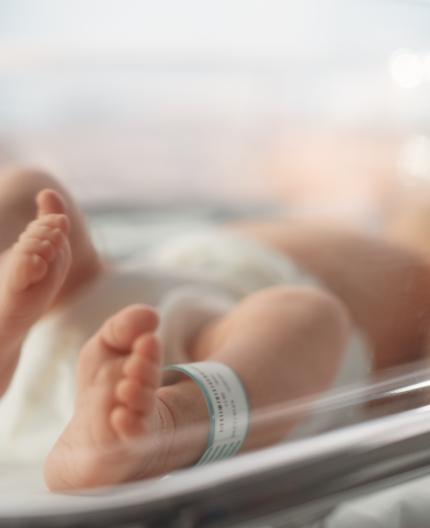 populacao nascimentos fecundidade estatisticas pordata